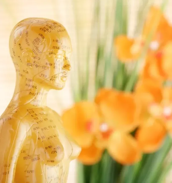 Yeditepe University Complementary Medical Center